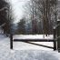 Amicalola Falls State Park, Winter, Snow