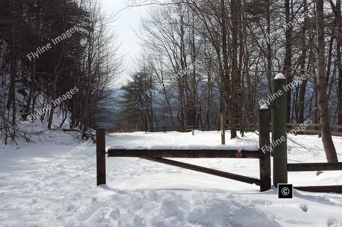 Amicalola Falls State Park, Winter, Snow