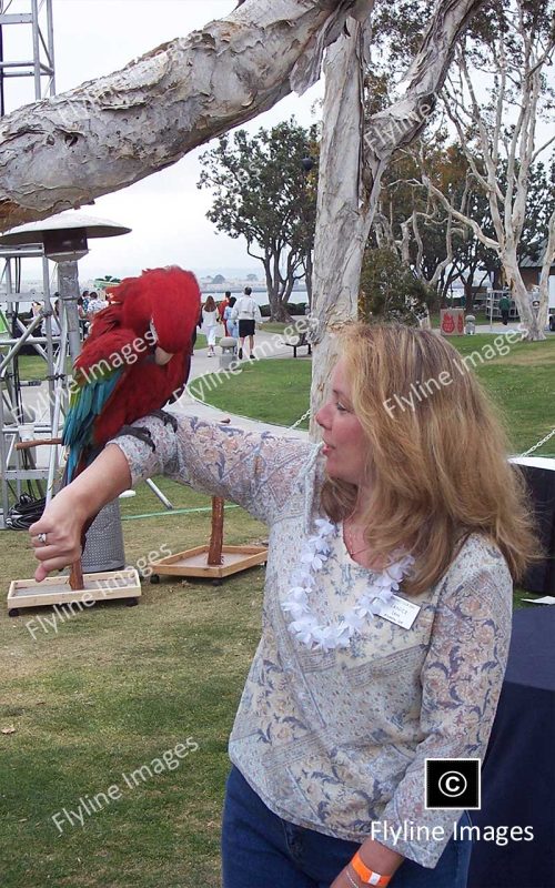 Red Macaw, Janice Lein, San Diego CA