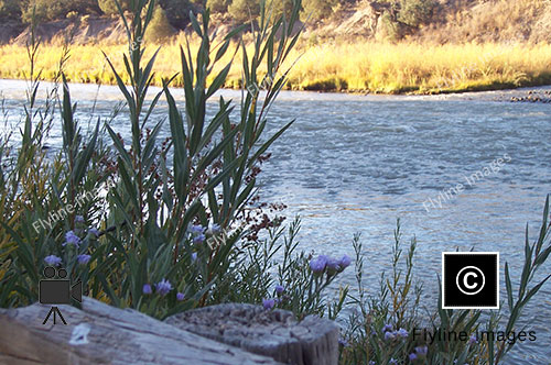 El Vado Ranch, Chama River, Tierra Amarilla New Mexico