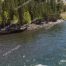 Yellowstone River, Tower Junction, Yellowstone National Park