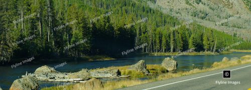 Madison River