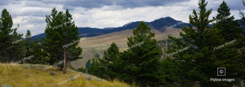 Scenic Vista In Yellowstone