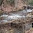 Amicalola River, Not Far From Amicalola River Headwaters