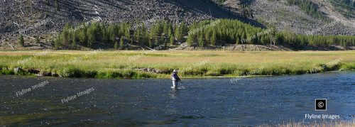 Fly Fishing The Madison River, Yellowstone National Park