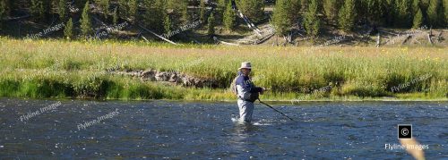 Madison River, Fly Fishing, Yellowstone National Park
