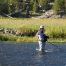 Madison River, Fly Fishing, Yellowstone National Park