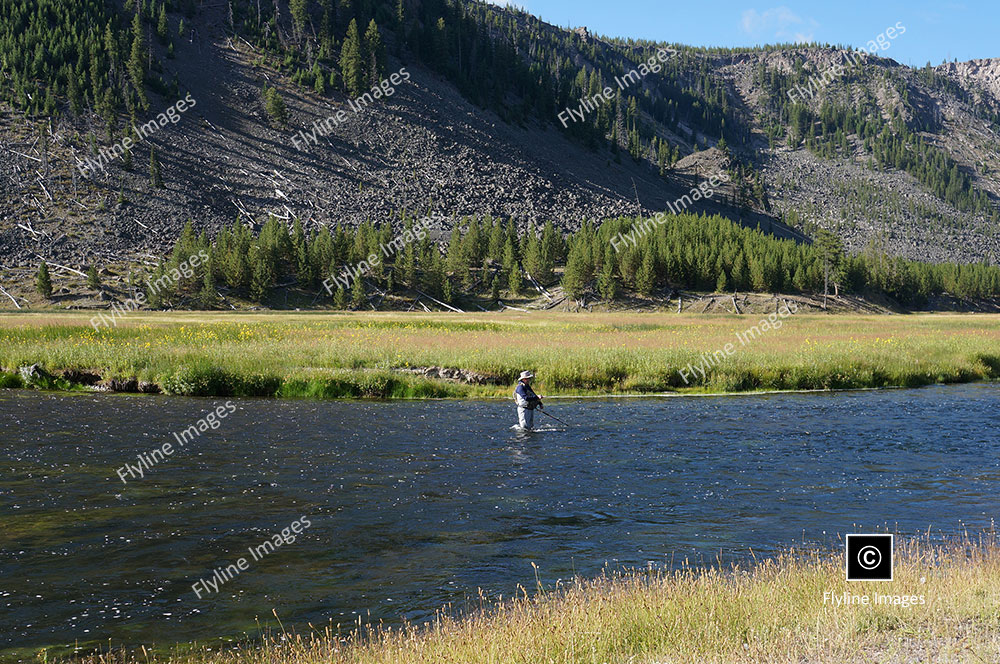 Madison River, Mark Lein, Fly Fishing, Yellowstone