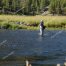 Madison River, Mark Lein, Fly Fishing, Yellowstone