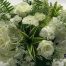 White Roses, White Ranunuculus