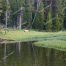 Yellowstone National Park, Bull Elk, Wildlife In Yellowstone