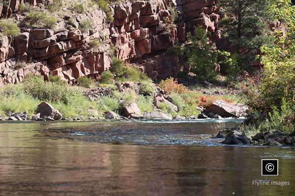 Green River,Fly Fishing, Section A Green River