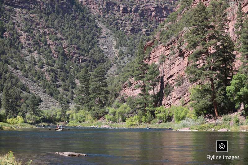 Green River,Fly Fishing, Section A Green River