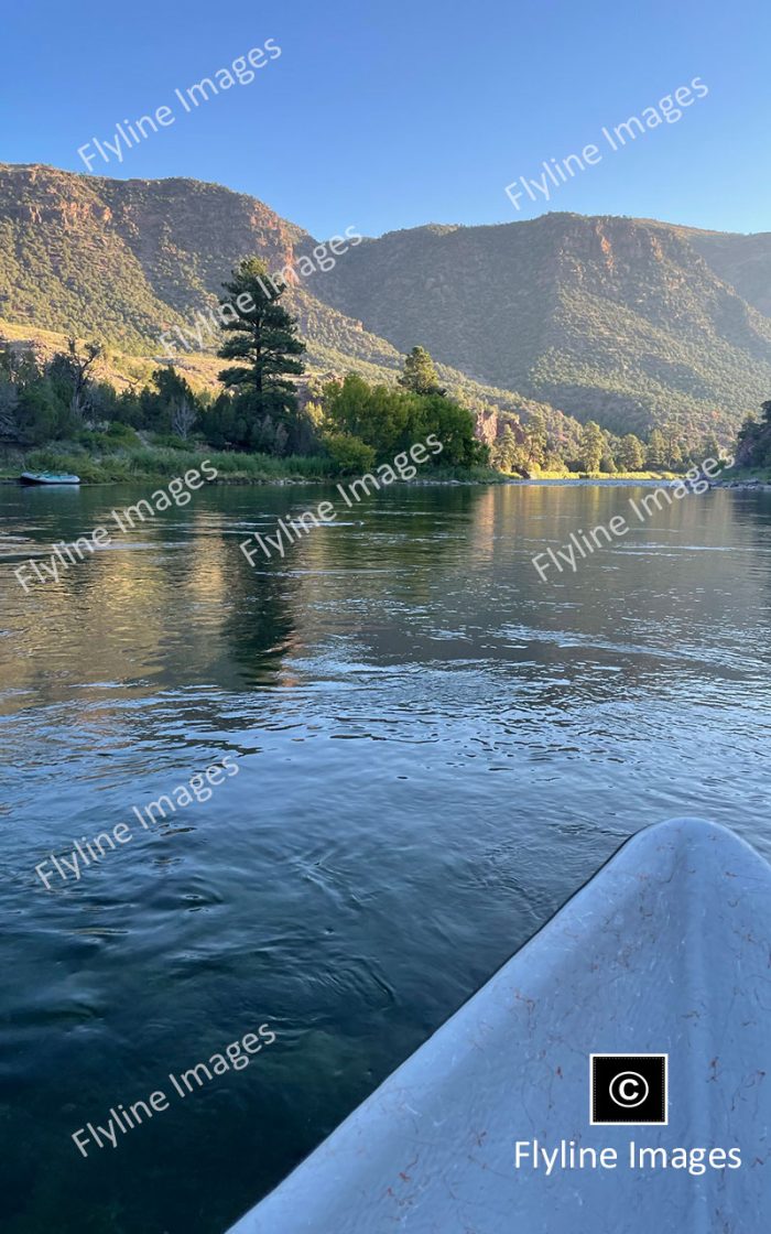 Green River Trout Fishing, Green River, Utah Fly Fishing