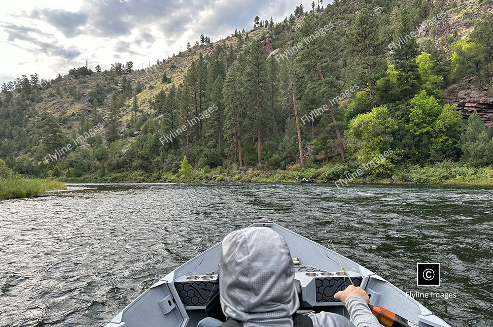 Green River, Flaming Gorge Utah, Fly Fishing