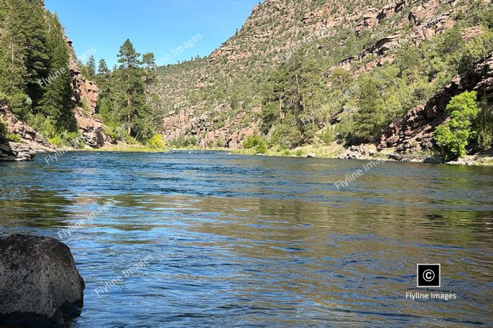 Green River, Flaming Gorge Utah, Fly Fishing, Float Boats