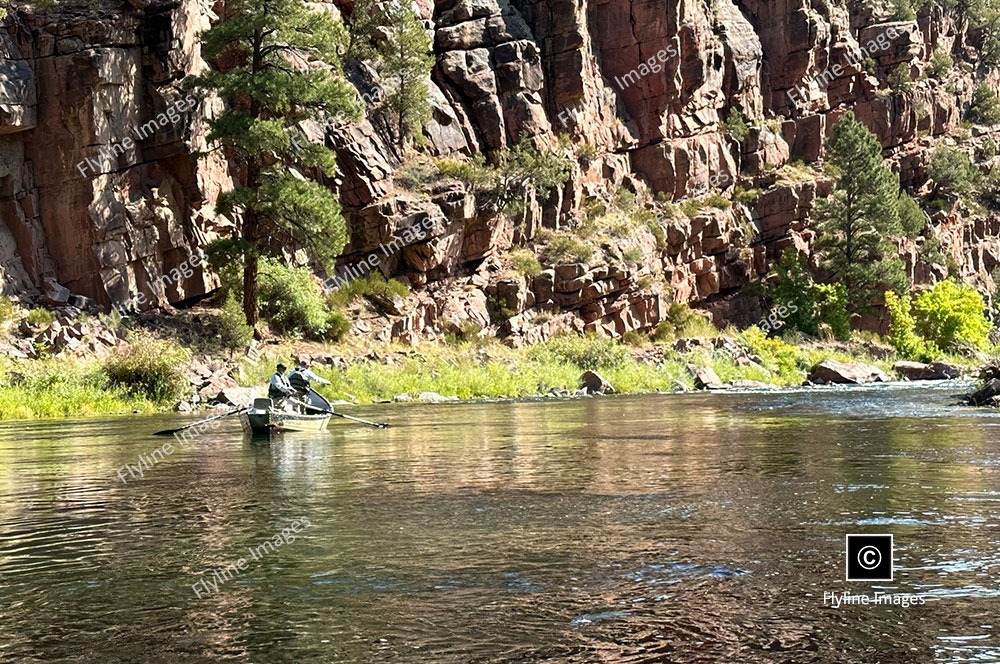 Fly Fishing The Green River