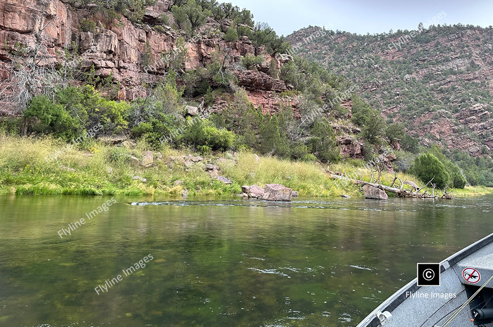 Section A of The Green River, Flaming Gorge Utah