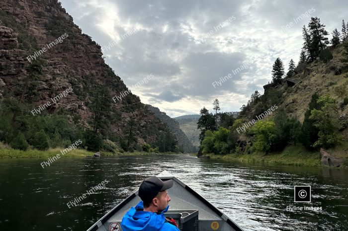 Rain Day On Green River, Green River Fly Fishing