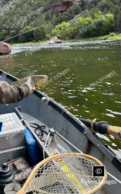 Green River, Fly Fishing, Float Boat Fishing