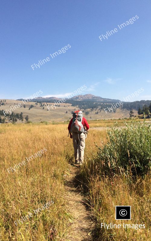 Slough Creek, Fly Fishing, Yellowstone National Park