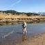 Slough Creek, Fly Fishing, Yellowstone National Park