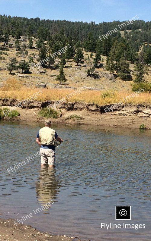 Slough Creek, Fly Fishing, Yellowstone National Park