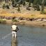 Slough Creek, Fly Fishing, Yellowstone National Park