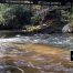 Amicalola River, North Georgia