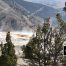 Mammoth Hot Springs, Yellowstone National Park