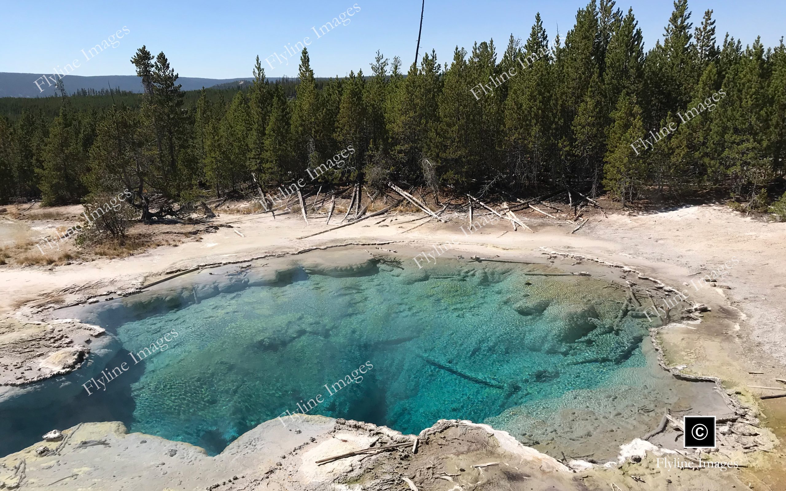 Norris Geyser Basin, Hot Spring, Yellowstone Geothermal Features