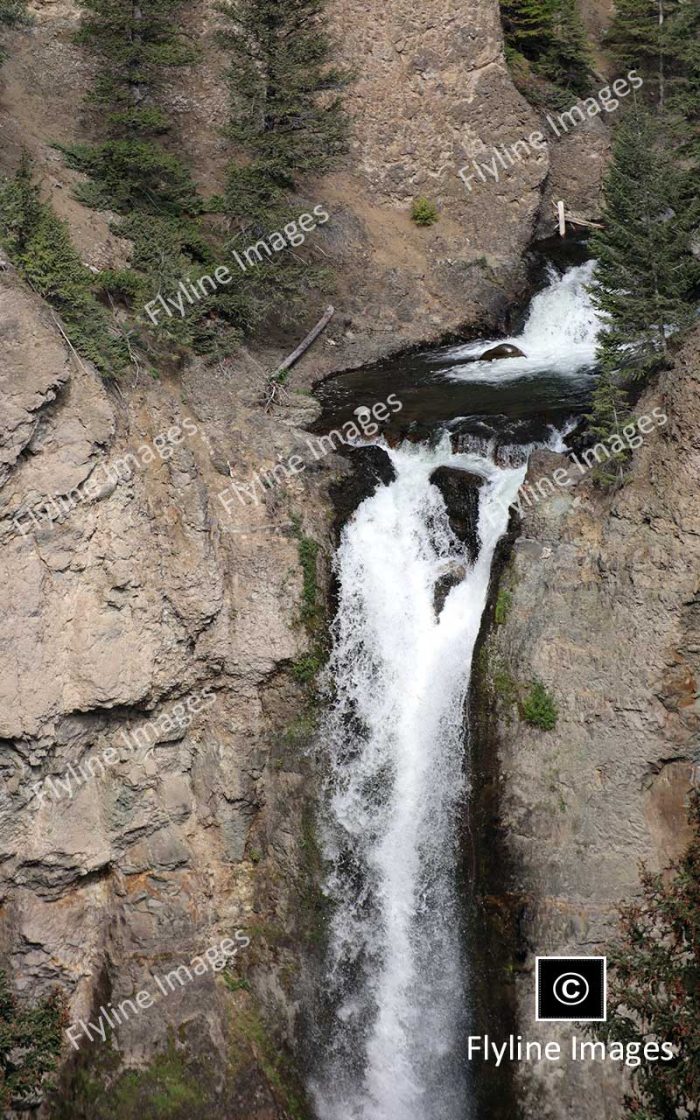 Lower Falls, Yellowstone River, Yellowstone National Park