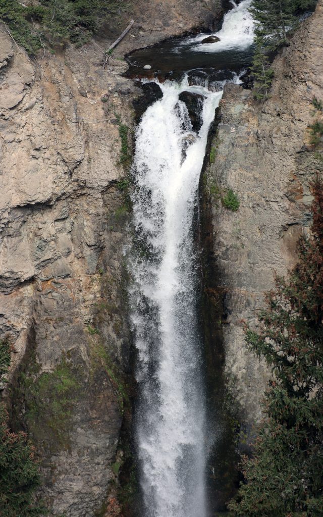 Lower Falls, Yellowstone River, Yellowstone National Park