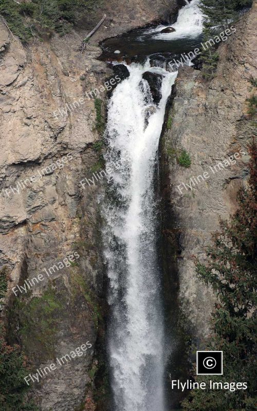 Lower Falls, Yellowstone River, Yellowstone National Park