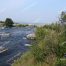 Madison River, Fly Fishing, 3 Dollar Bridge, Montana Fly Fishing, Montana Rivers