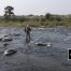 Madison River, Fly Fishing Video