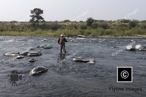 Madison River, Fly Fishing Video