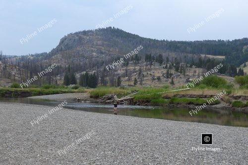 Slough Creek, Yellowstone National Park, Fly Fishing in Yellowstone