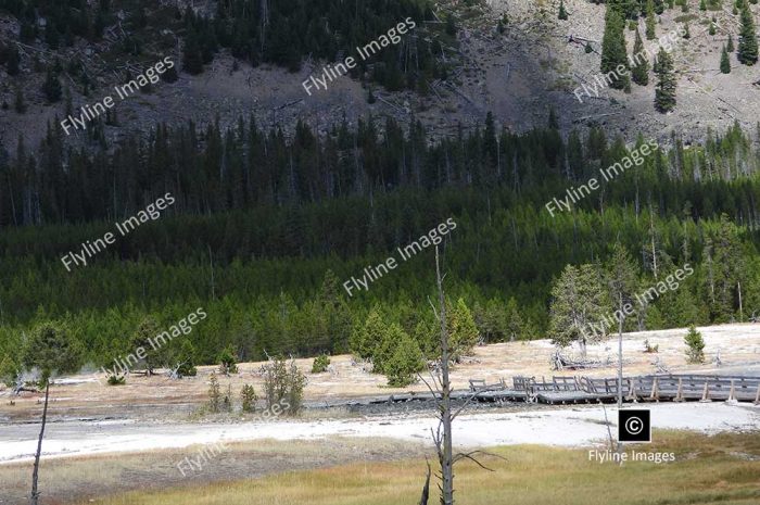 Biscuit Basin, Geothermal Explosion 2024, Yellowstone National Park