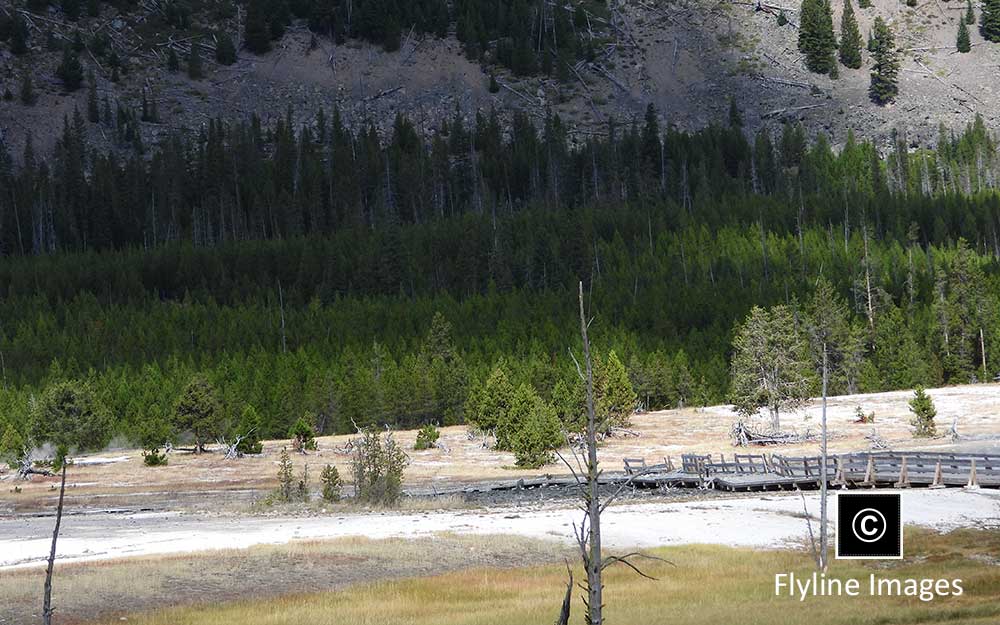 Biscuit Basin, Geothermal Explosion 2024, Yellowstone National Park