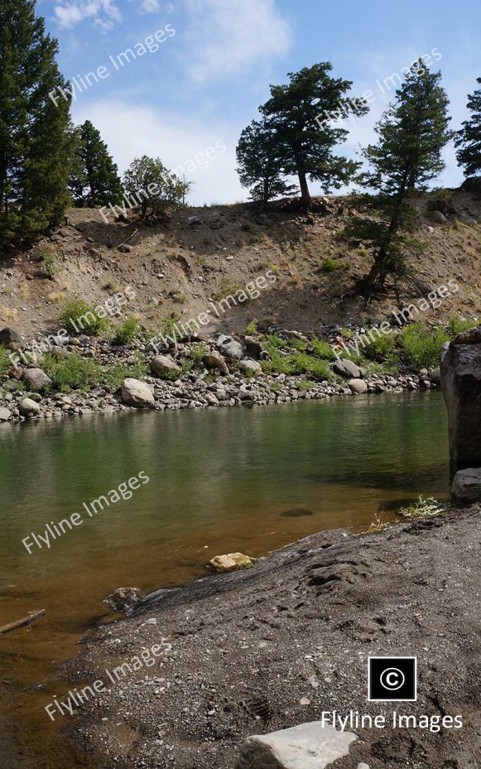 Buffalo Creek, Feeder Stream To The Yellowstone River