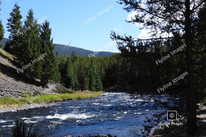 Firehole River, Firehole River Drive, Yellowstone National Park