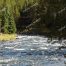 Firehole River, Yellowstone