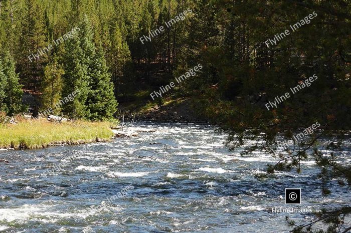 Firehole River, Yellowstone