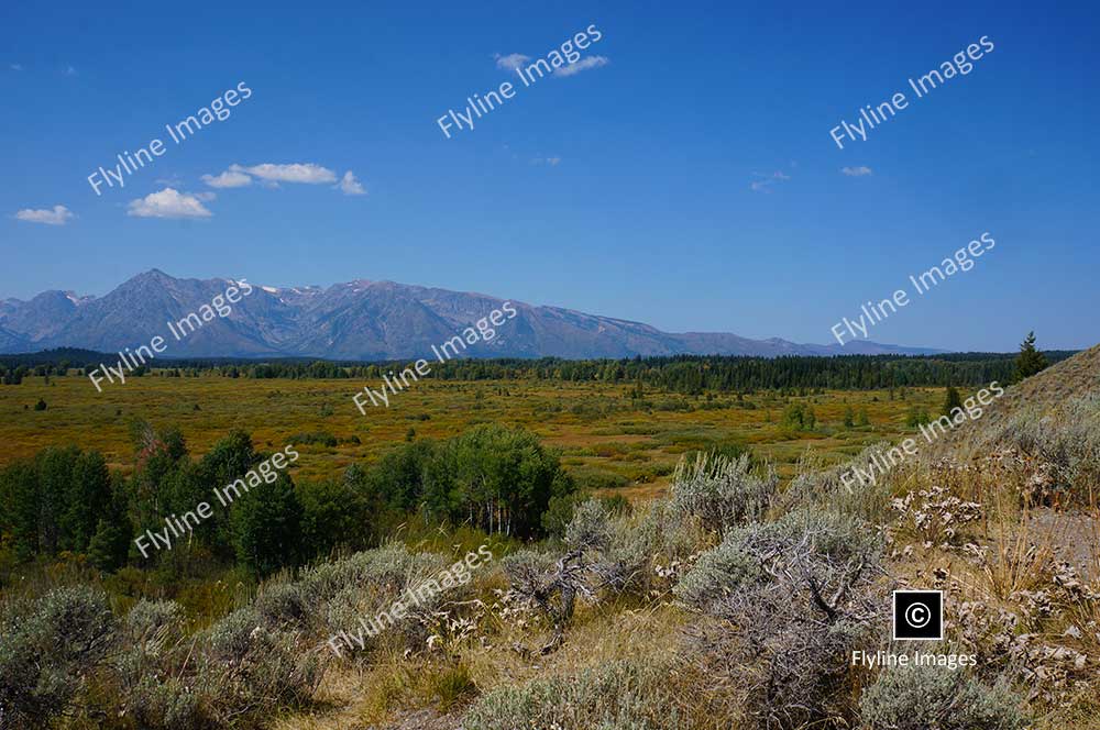 Grand Tetons