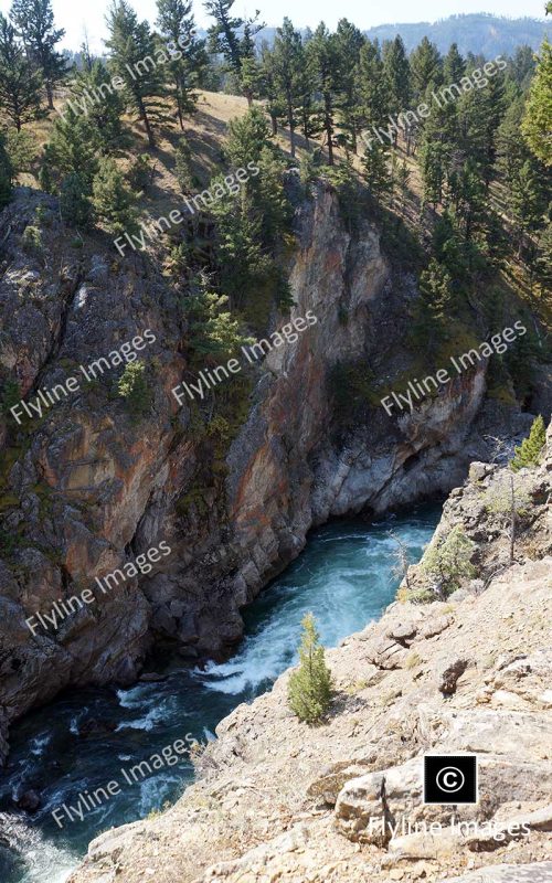 Hellroaring Creek Trail, Yellowstone National Park, Yellowstone River