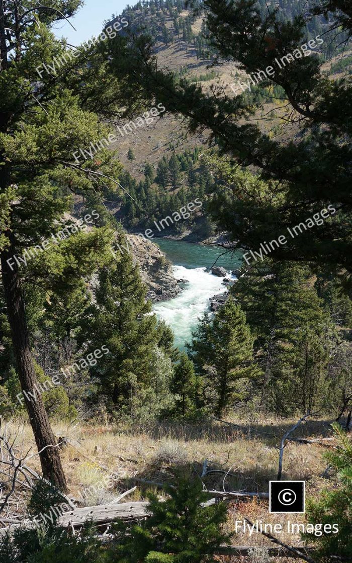 Hellroaring Creek Trail, Yellowstone National Park, Yellowstone River