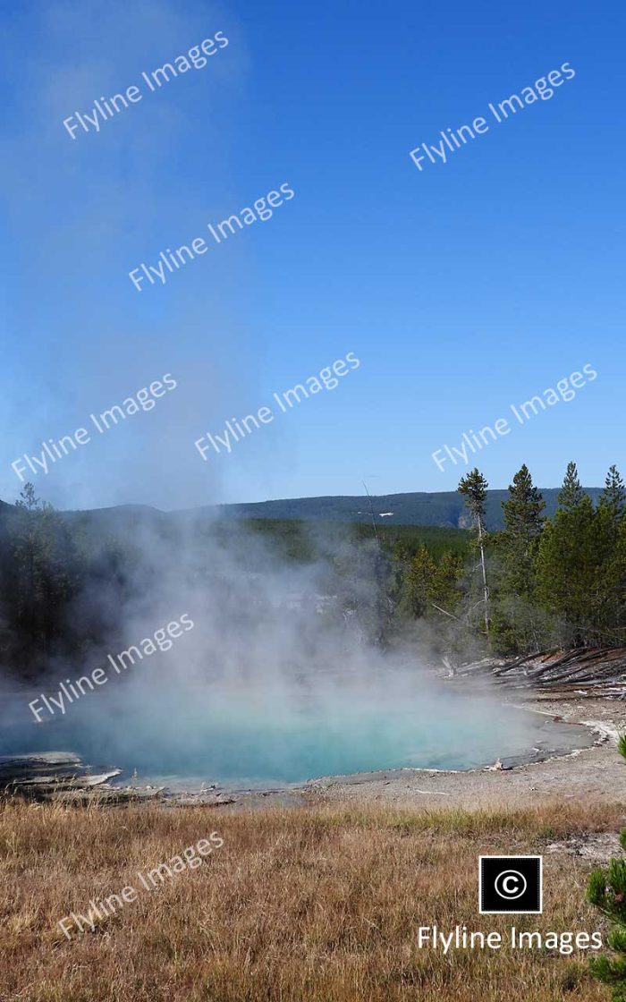 Hot Spring, Norris Geyser Basin, Yellowstone National Park