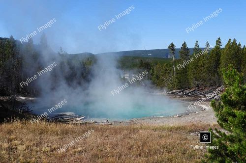 Hot Spring, Norris Geyser Basin, Yellowstone National Park