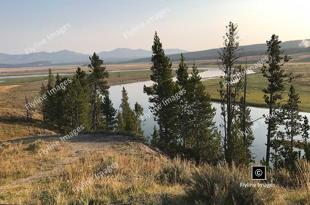 Hayden Valley, Yellowstone River, Yellowstone National Park